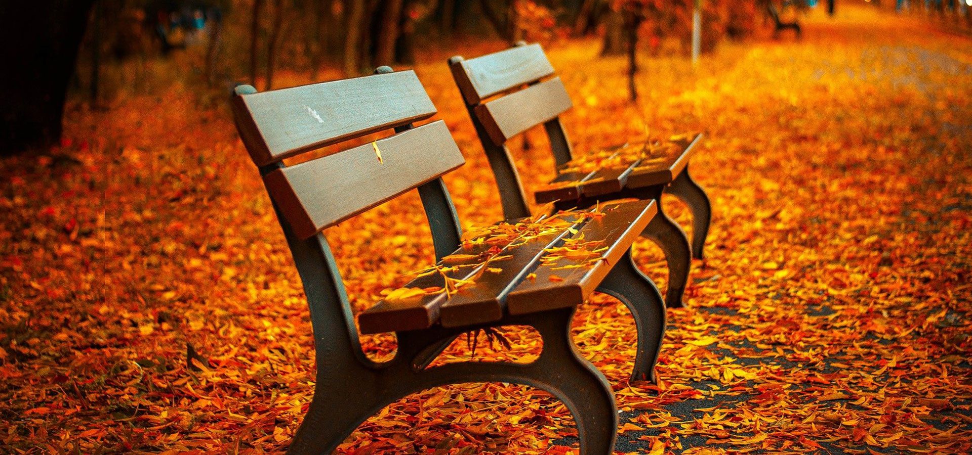 1920x900 autumn benches