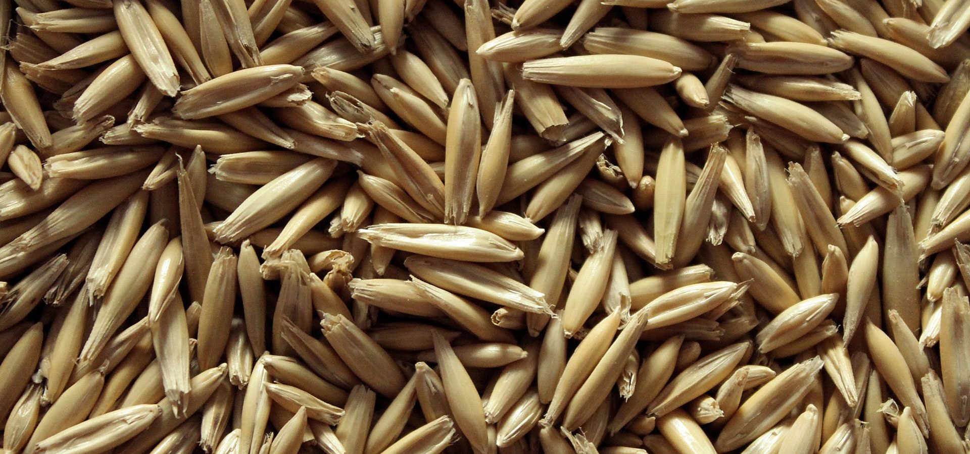 ground oats 1920x900-60%